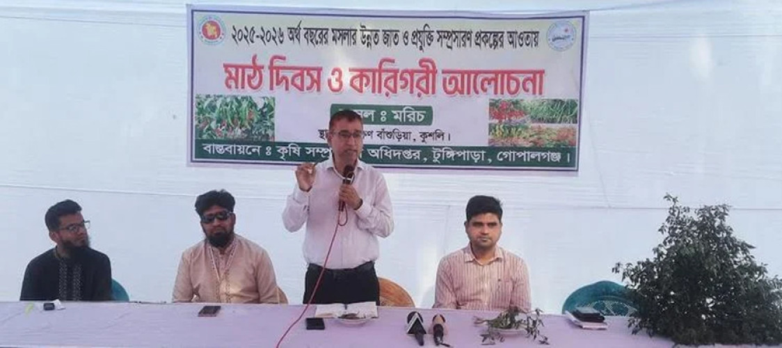 Success in chilli cultivation using modern technology in Gopalganj, Bangladesh